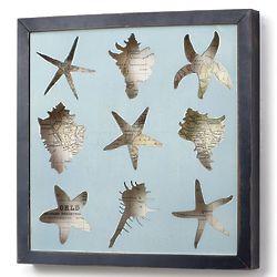 Framed Seashell Shadow Box Wall Art