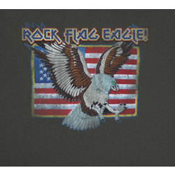 Rock Flag Eagle! T-Shirt - FindGift.com