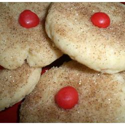 Snickerdoodle Cookie Gift Box