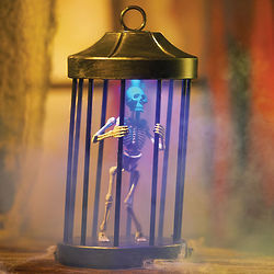 Animated Skeleton in a 13.5" Cage