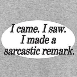 I Came. I Saw. I Made a Sarcastic Remark T-Shirt