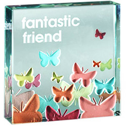 Fantastic Friend Butterfly Paperweight