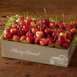 2 Pounds of Orondo Cherries Gift Box