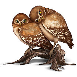 Nature's Precious Moment Owl Couple Figurine
