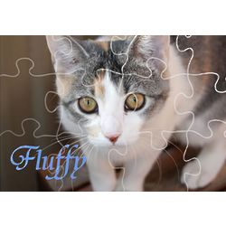 Custom Cat Photo Puzzle Gram