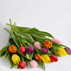 15 Assorted Tulips Bouquet
