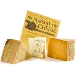 Gourmet Cheese of the Month Club