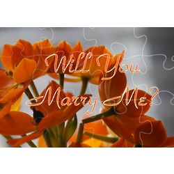 Will You Marry Me? Personalized Puzzle Gram