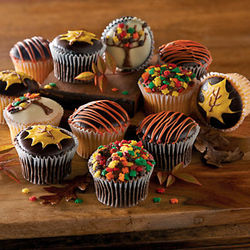 Harvest Chocolate Dipped Cupcakes