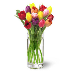 Bright Lights Tulip Bouquet