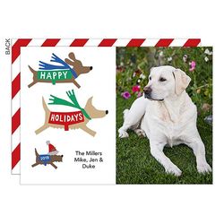 Happy Holidays Dogs Custom Photo Card