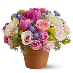 Spring Sonata Flower Pot Bouquet