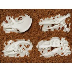 Fossil Food Cupcake Molds