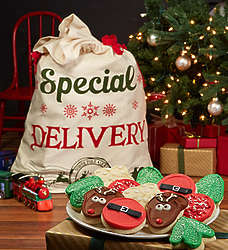 Christmas Cookies in Santa's Special Delivery Sack