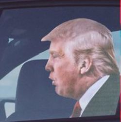 Ride with Trump Car Decal