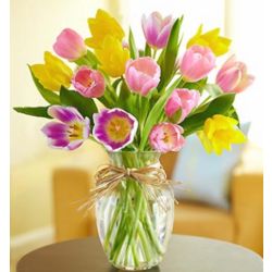 Timeless Tulips Bouquet