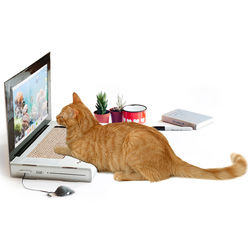 Laptop Cat Scratching Pad