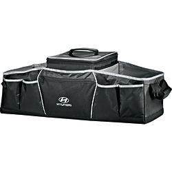 CarGo Cooler and Trunk Organizer in Black