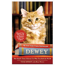 Dewey - The Small-Town Library Cat Who Touched the World