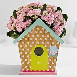 Springtime Blushing Birdhouse