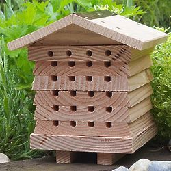 Solitary Bee Hive