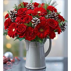 Season's Greetings Red Blooms in a Pitcher Vase