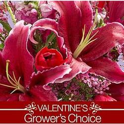 Valentine's Day Grower's Choice Bouquet with Cherry Vase
