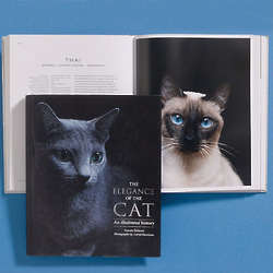The Elegance of the Cat Book