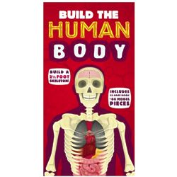 Human Body Educational Building Set