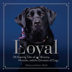 Loyal: 38 Inspiring Tales of Dogs Book