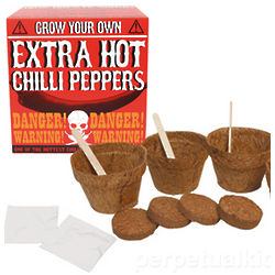 Grow Your Own Extra Hot Chilli Peppers Kit