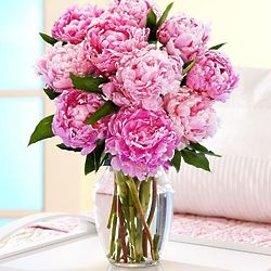 Deluxe Assorted Pink Peonies Flower Bouquet