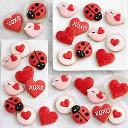 30 Hand-Decorated Mini Valentine's Day Cookies Gift Box