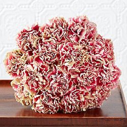 Antique Pink Carnations Bouquet