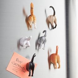 Cat Tail Magnets