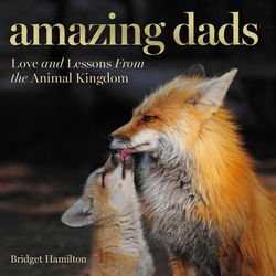 Amazing Dads: Love and Lessons from the Animal Kingdom Book