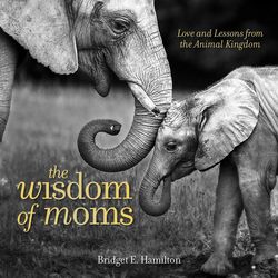 The Wisdom of Moms: Love and Lessons from the Animal Kingdom Book