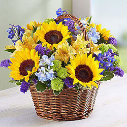 Fields of Europe Summer Bouquet in Large Basket