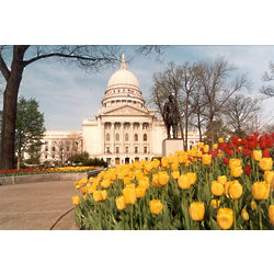 Wisconsin State Capitol in Springtime Photograph