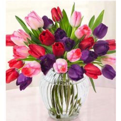 Lovely and Modern Tulip Bouquet