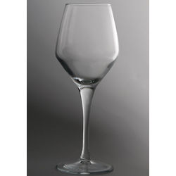 Casa White Wine Glasses