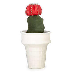 Ice Cream Cone Mini Planter