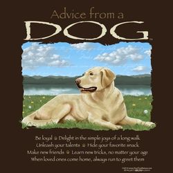 Advice From A Dog T-Shirt