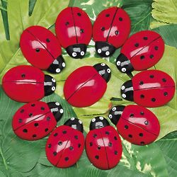 22 Ladybug Counting Stones