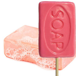 Wash Your Dirty Mouth Out Candy Soap Lollipops