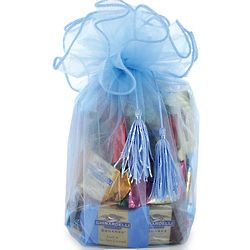 Baby Blue Organza Chocolate Squares Gift Bag