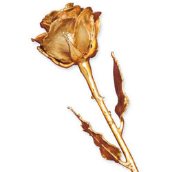 24k Gold Real Preserved Rose