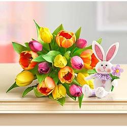 Easter Tulip Bouquet with Plush Bunny