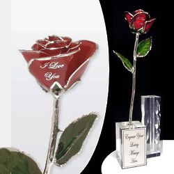 Personalized Silver Trimmed 11" Preserved Rose