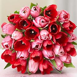 30-Stem Bouquet of Sweetest Love Tulips